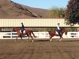 Evergreen Stable